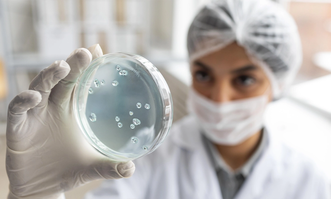 Stem Cell Therapy Packages